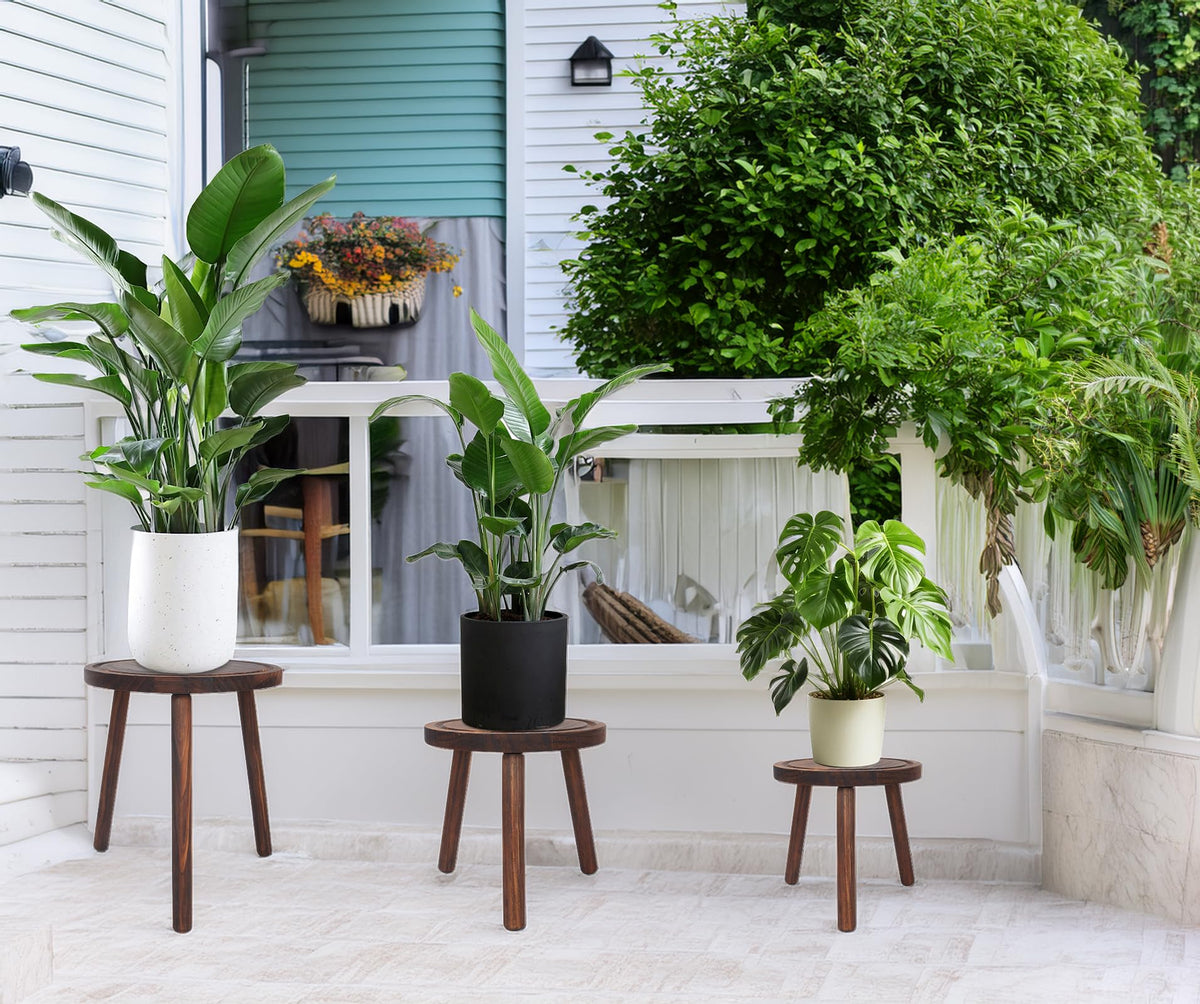 Amdermi wood plant stand living-room display complements modern decor.