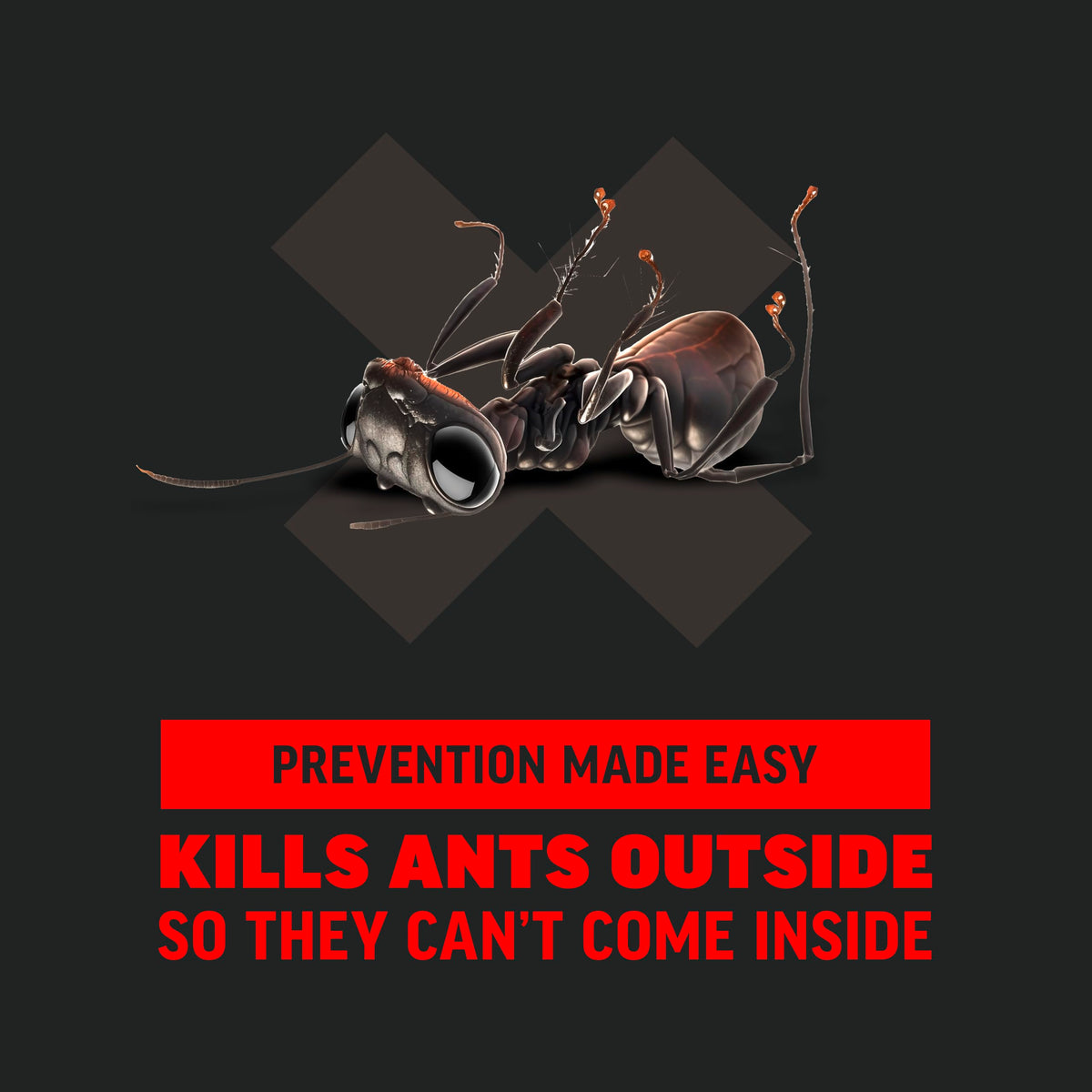 Amdro attracts foraging workers to carry bait back to the colony.