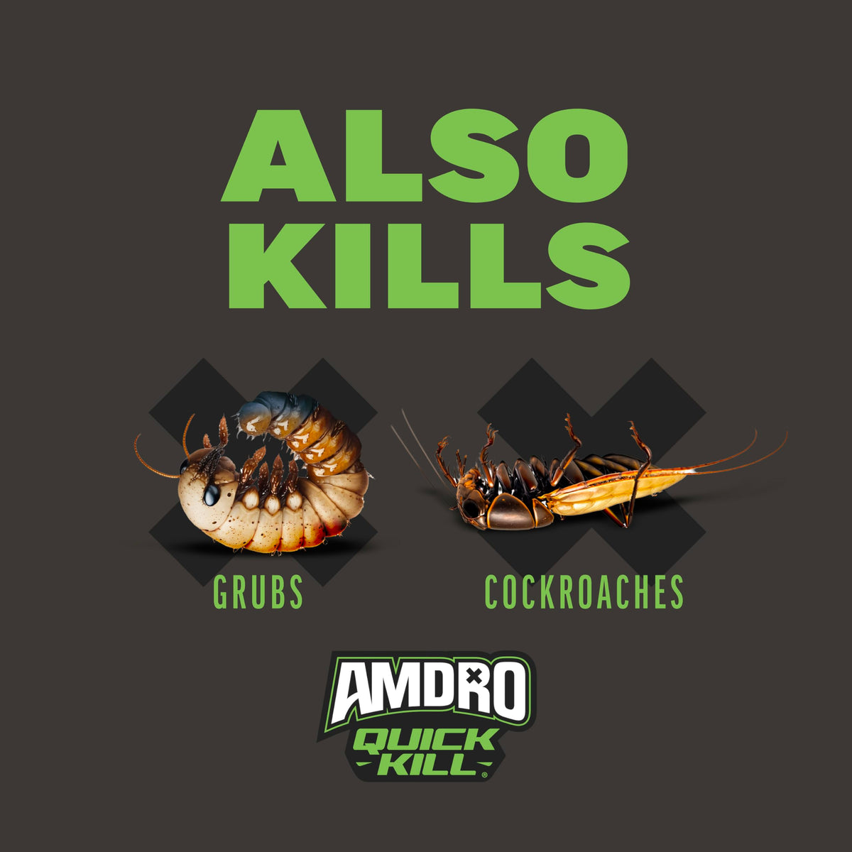 Amdro Kills Ants & Spiders granules label shows USA-made quality