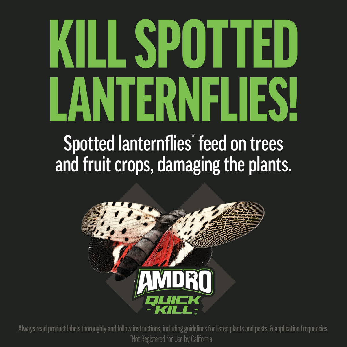 Landscape bed treatment with Amdro Quick Kill to protect ornamental plants.