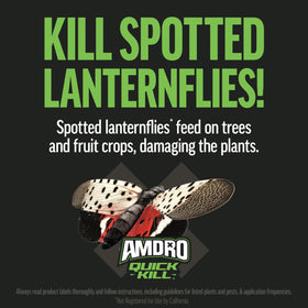 Landscape bed treatment with Amdro Quick Kill to protect ornamental plants.
