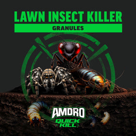 Amdro granules kill surface insects like ants and fleas
