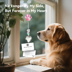 AMETHUARTZ sunlit display for dog and cat memorials, a comforting visual reminder.