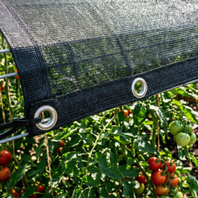 Amgo backyard shade solution provides cooling without blocking essential light