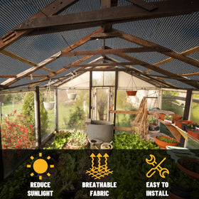 Amgo greenhouse shading reduces glare while preserving airflow.