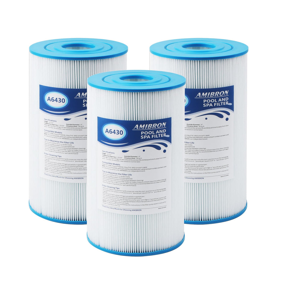 AmiBron PWK30 filter top view shows compact size for quick spa setup and replacement.