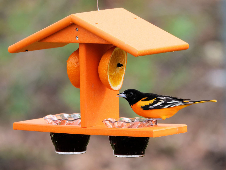 AmishToyBox Oriole Feeder front view shows double jelly cups for grape jelly attraction