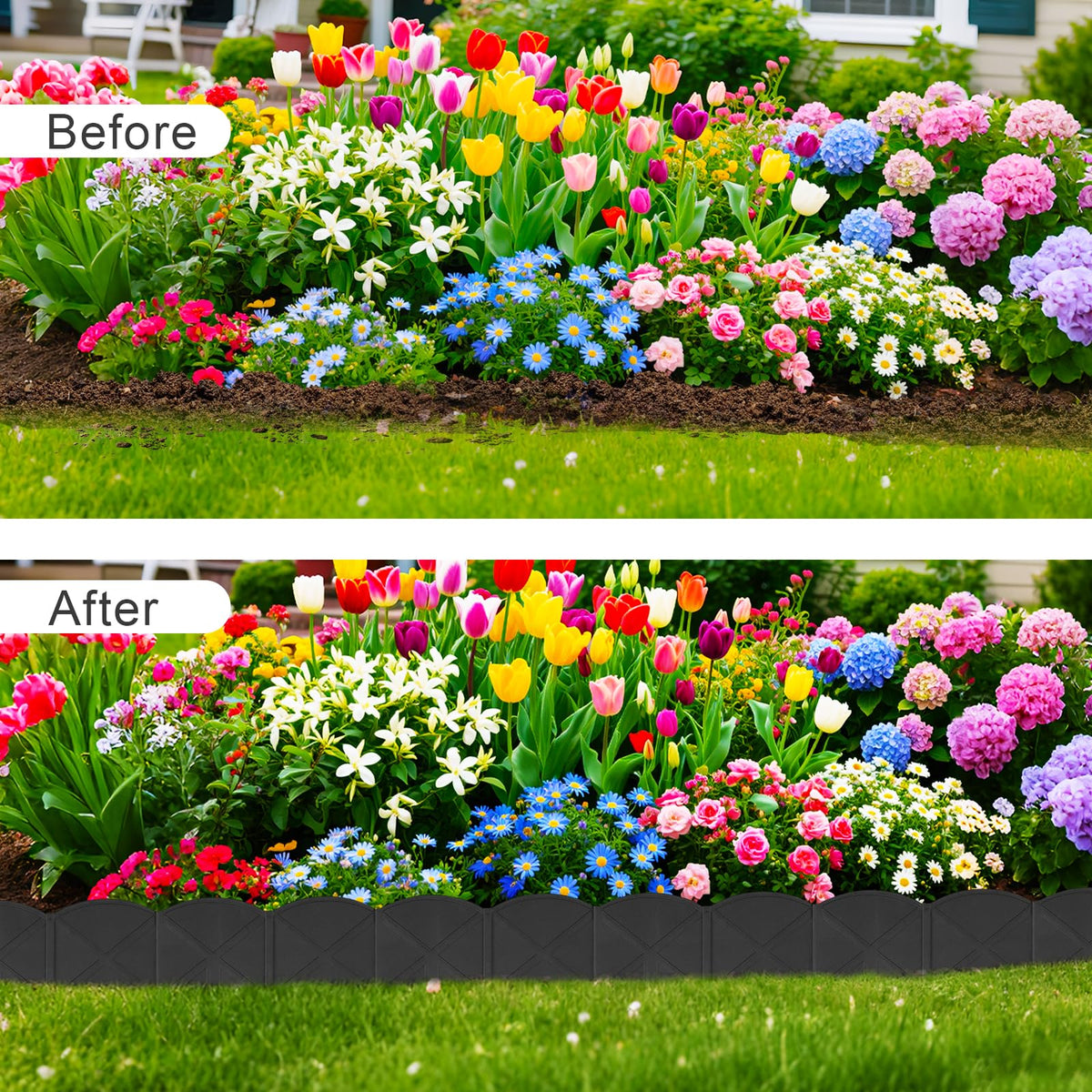 AMURS edging along a sidewalk creating a clear garden boundary