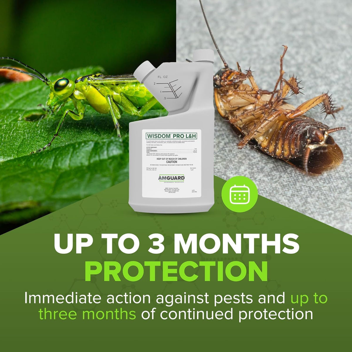 Amvac Wisdom Pro L&H treats fleas, mosquitoes, and ticks outdoors.