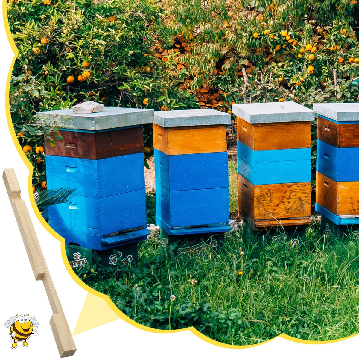 Amyhill reducer ventilation-focused shot illustrates airflow support for hive comfort