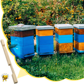Amyhill reducer ventilation-focused shot illustrates airflow support for hive comfort
