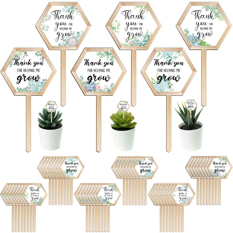 Amyhill succulent tag with rose pattern for gift-ready plant labeling