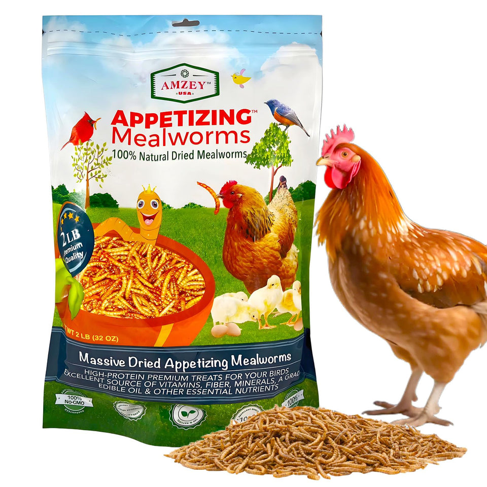 Amzey dried mealworms in a 2 lb bag for poultry and birds