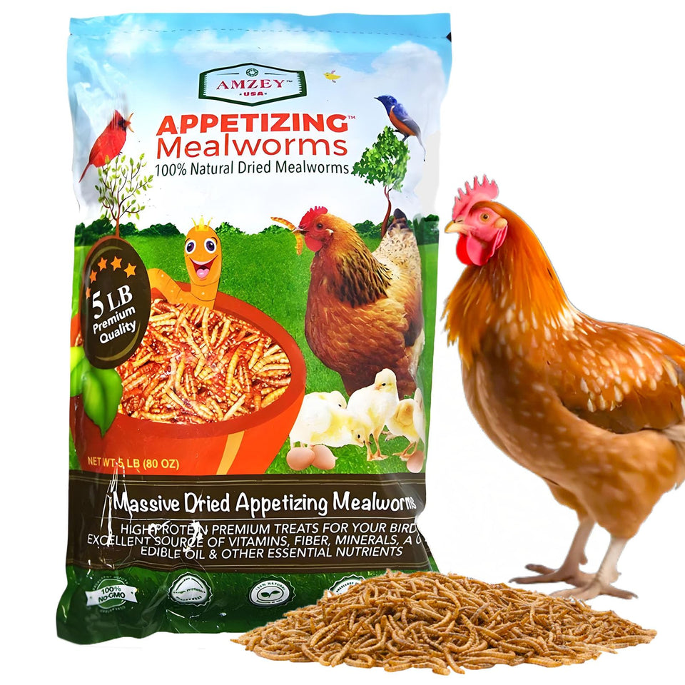 Amzey dried mealworms 5lb bag sealed for long shelf life and easy storage.