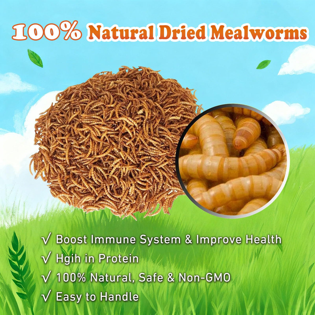 Amzey Dried Mealworms juicy thick pieces emphasize quality treats for chickens and birds.
