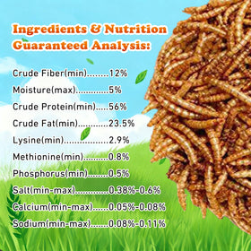 Amzey Dried Mealworms non-gmo label showcases natural, preservative-free snack options.