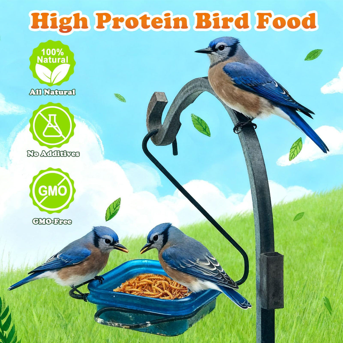 Amzey Dried Mealworms nutrition-rich source suitable for reptiles, birds, and small mammals.