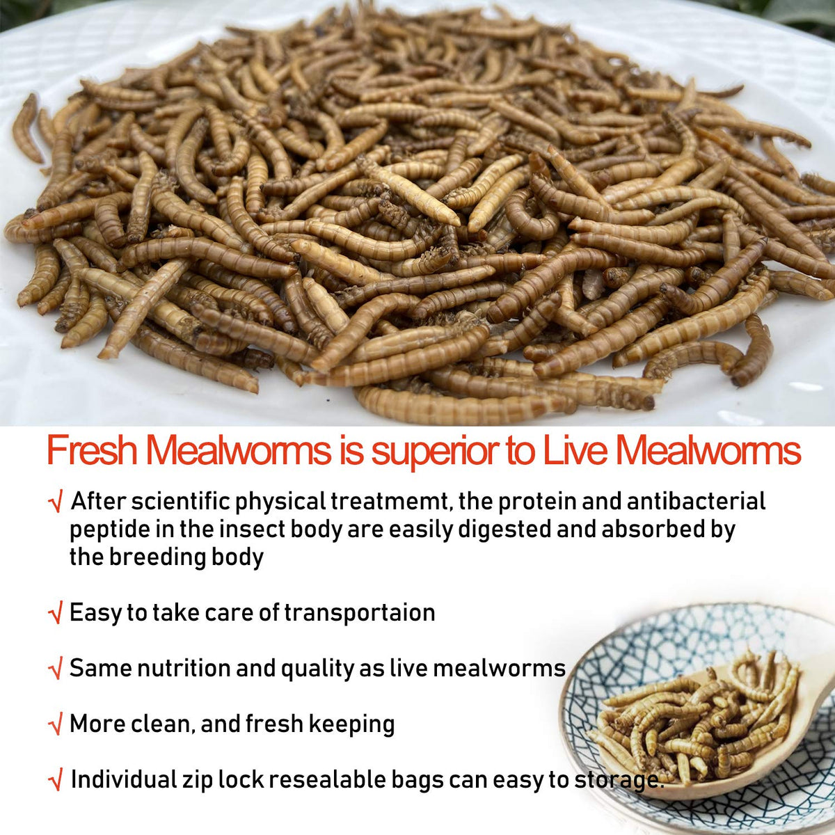 Amzey Fresh Mealworms suitable for leopard geckos, birds, and sugar gliders