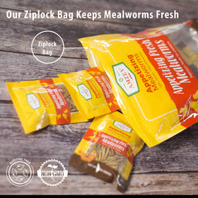 Natural and non GMO Amzey Fresh Mealworms sourced from organic feed