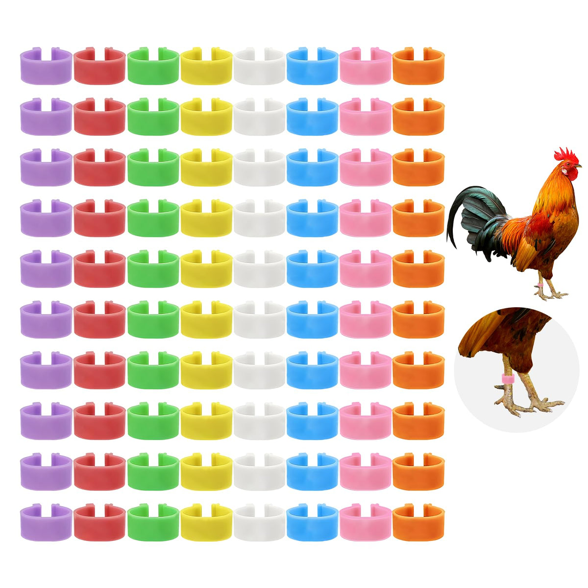 Amzlysdok colorful poultry leg bands in a palette for quick flock identification.