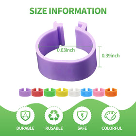Amzlysdok snap-on poultry band application shown for easy, stress-free fitting.
