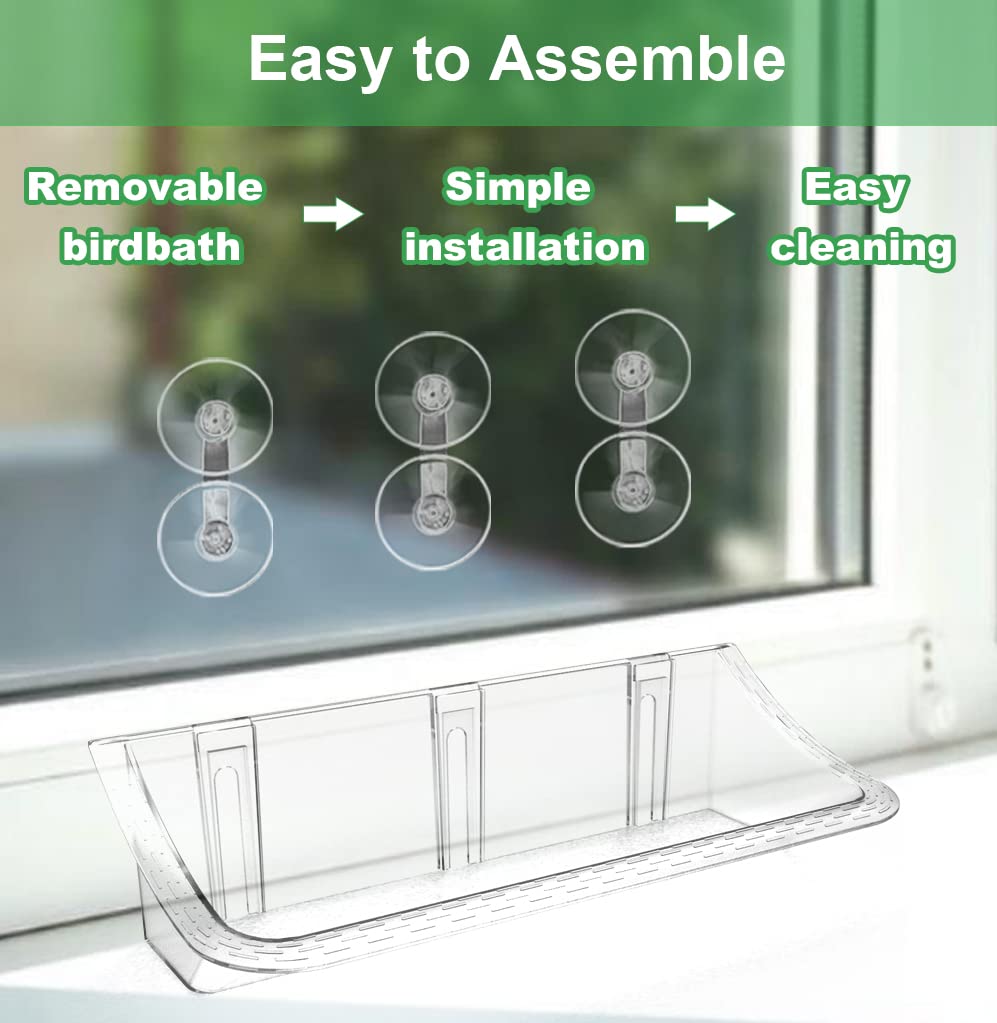Birdbath or seed tray setup expands viewing possibilities for families.