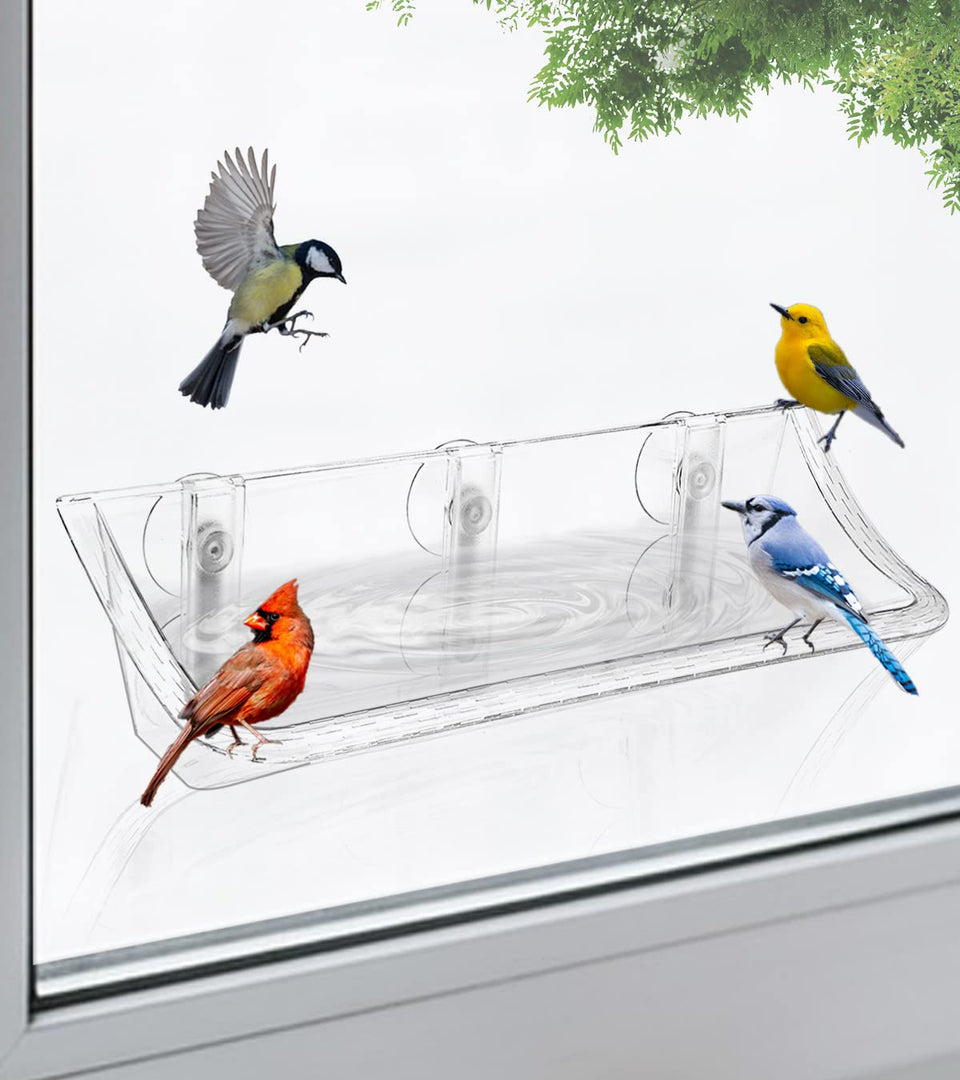 AnBaiMei Clear Window Bird Feeder with triple suction cups for secure outdoor use.