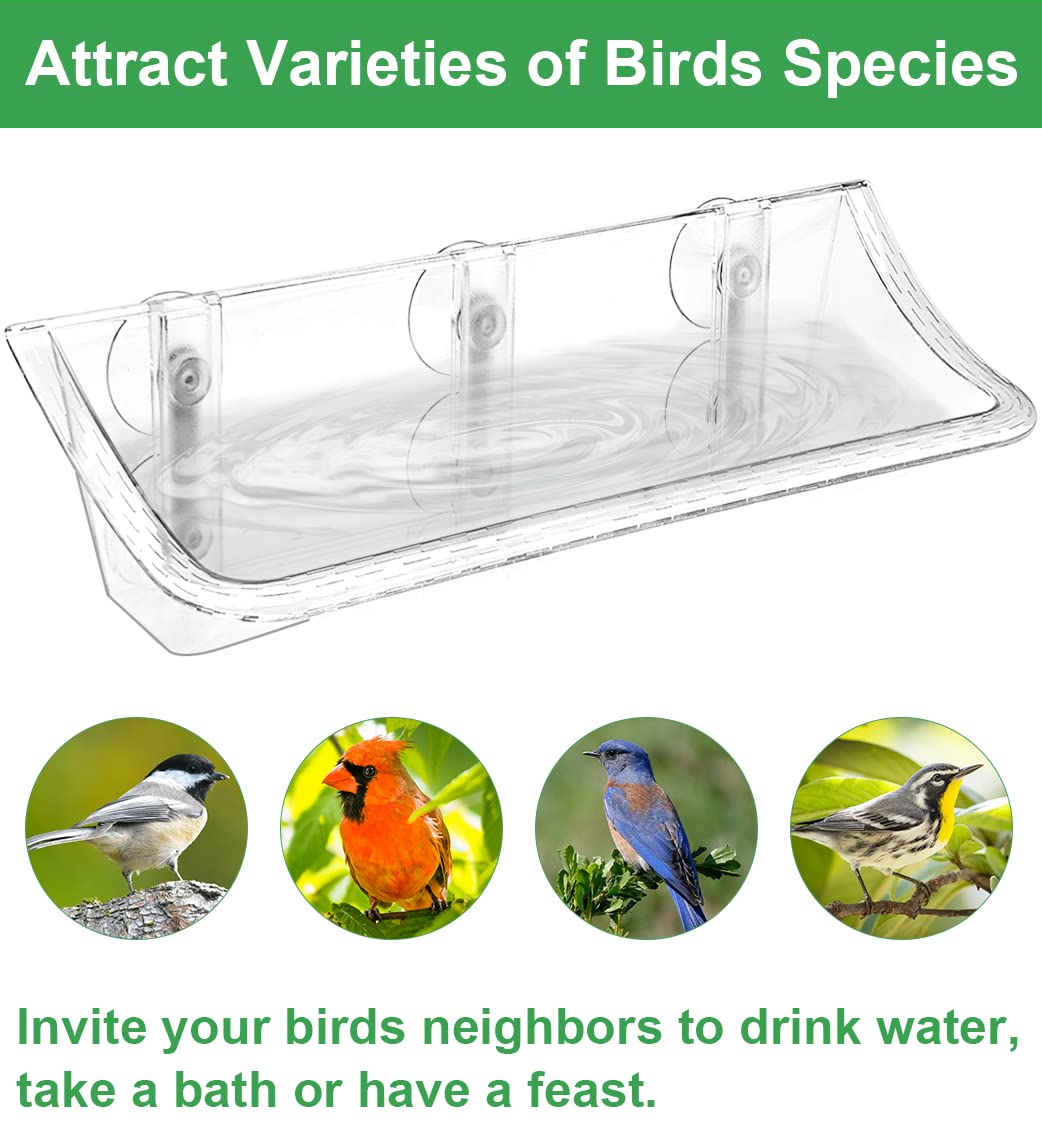 Kids, cats, and seniors can enjoy safe, indoor nature watching with AnBaiMei.