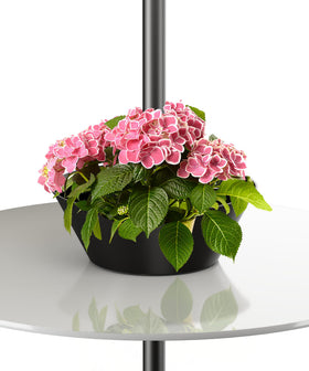 AnBaiMei umbrella planter half-circle on tabletop, ideal for compact plants