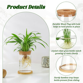 Anboliwb bamboo stand elevates your desktop garden while keeping propagation jars stable.