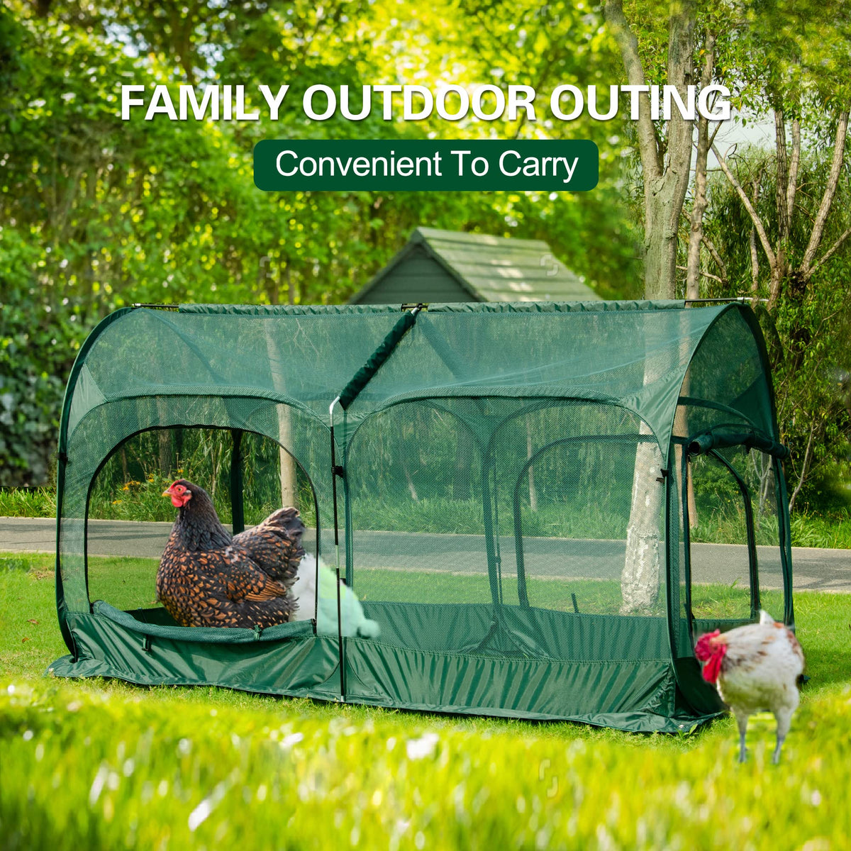 ANC POP large garden chicken run occupying ample outdoor space.