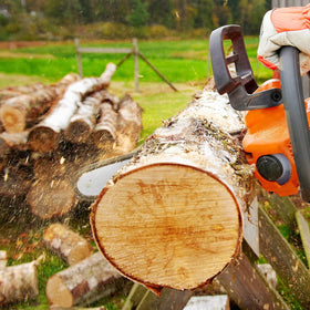 ANCKNE S40 wood-cutting use demonstrates efficient performance in real-world tasks