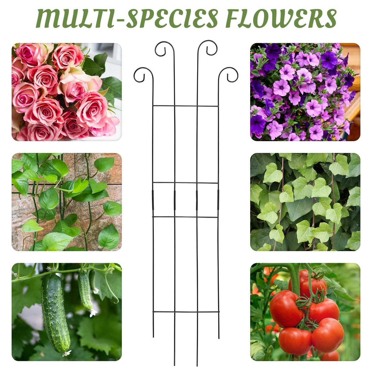 ANCOUUIN 4-pack trellises maximize balcony space for vertical gardening