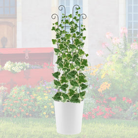 ANCOUUIN versatile garden trellis supports roses, grapes, vegetables, and ivy