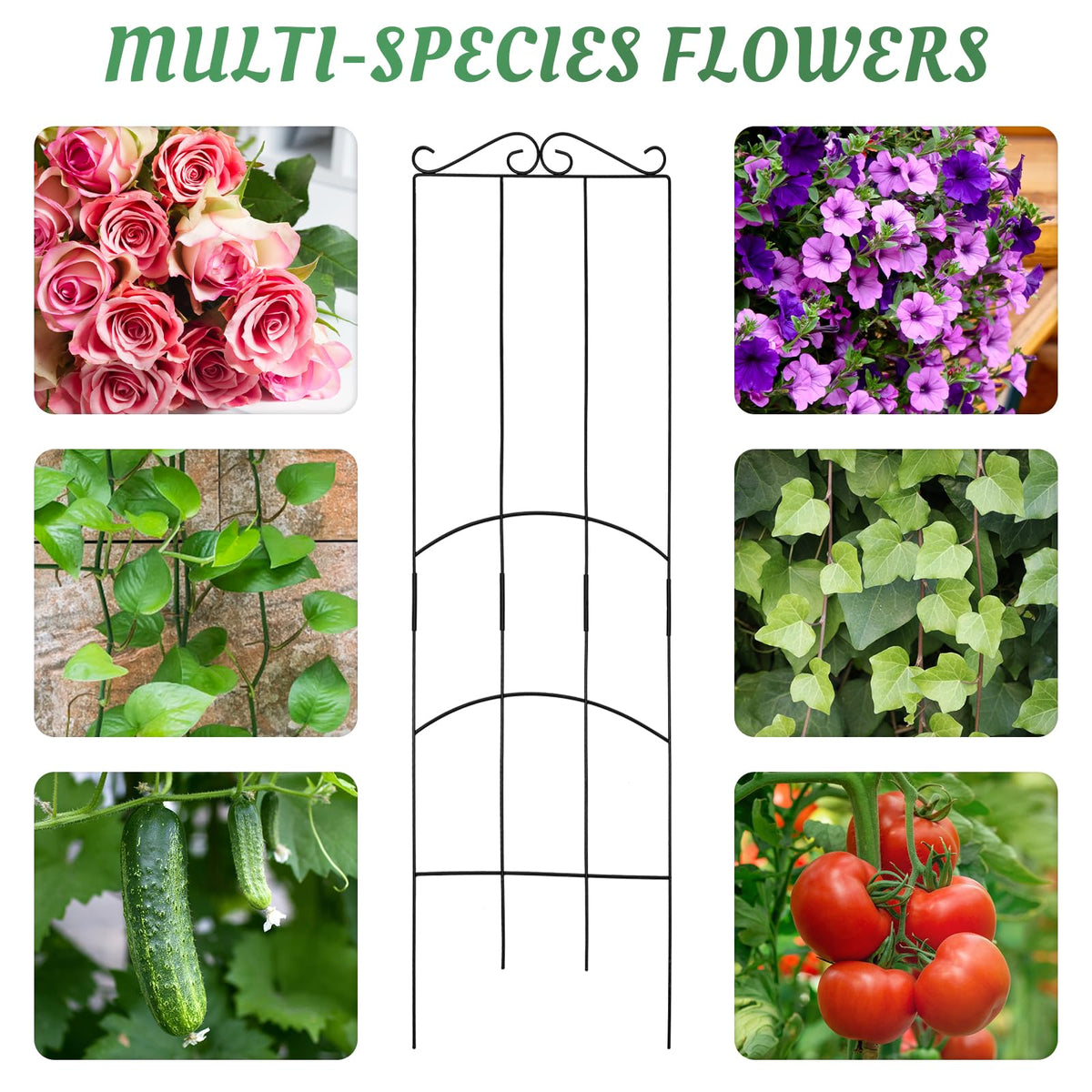 ANCOUUIN 4 Pack 32'' trellis helps create a vertical display of climbing vines.