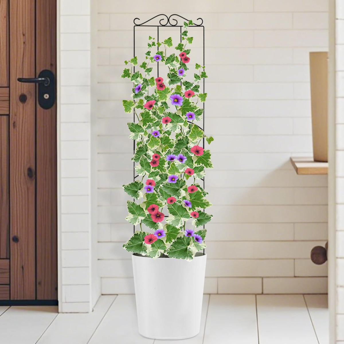 ANCOUUIN 4 Pack 32'' trellis demonstrates easy setup for potted plants.