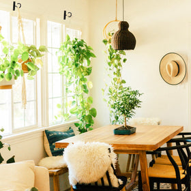 AndDock 6Pack decorative hooks for patio decor and planters.
