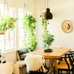 AnDock planter hanger wall mount, creates vertical greenery with style.