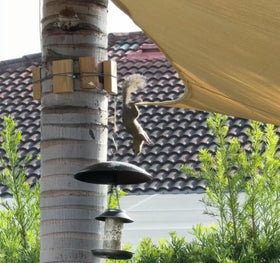 Andergi baffle protector keeps feeders clean and birds fed in any weather.