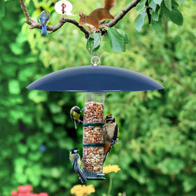 andergi outdoor decor that complements patios while aiding seed protection