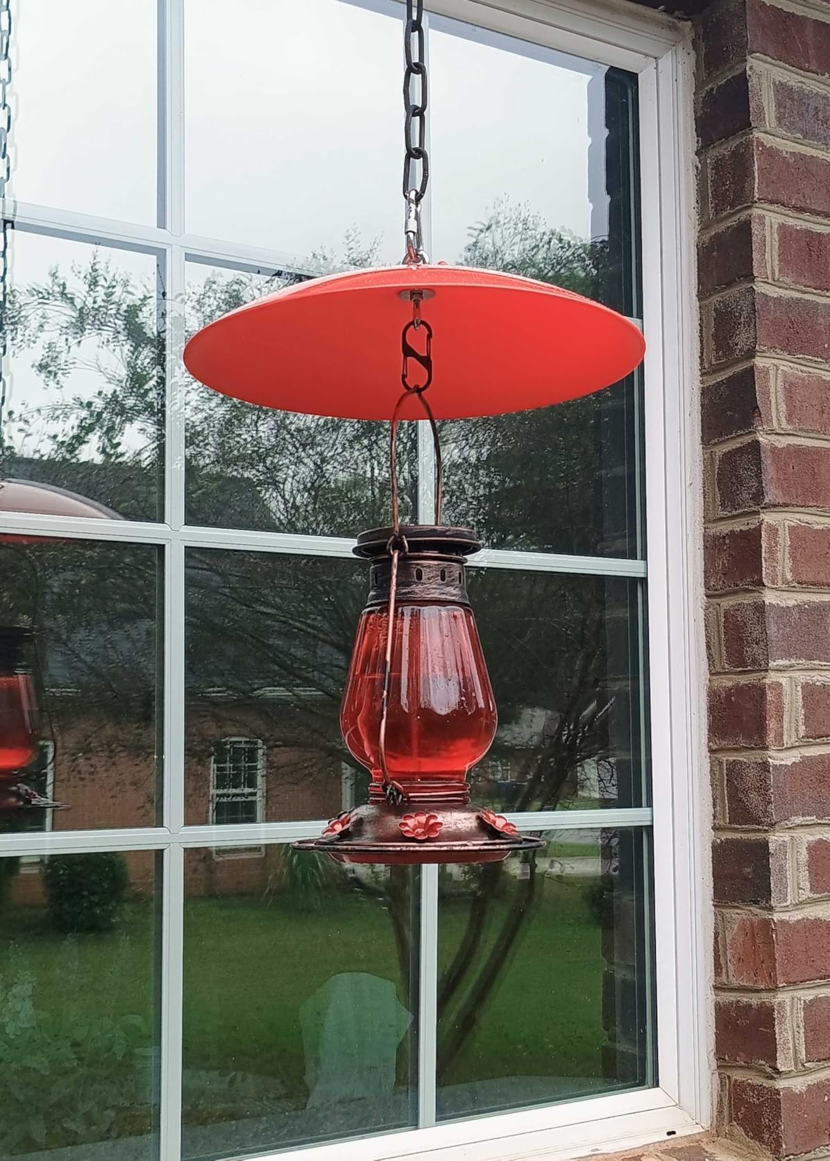 andergi hummingbird feeder dome cover easy hang red no tools required.