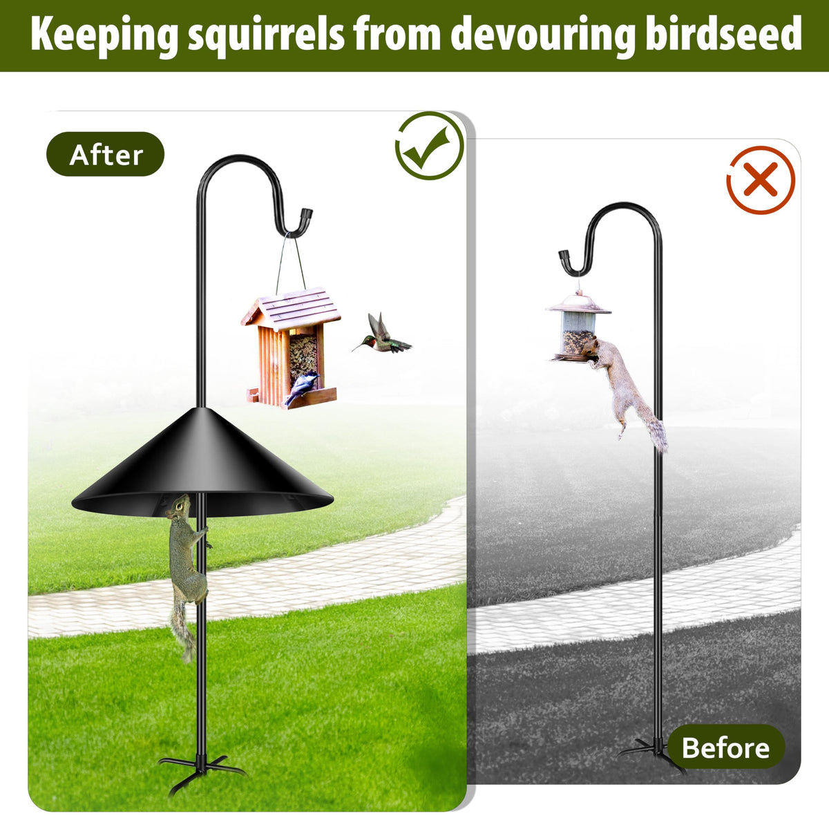 Andergi 7-3 inch tall guard shows generous coverage