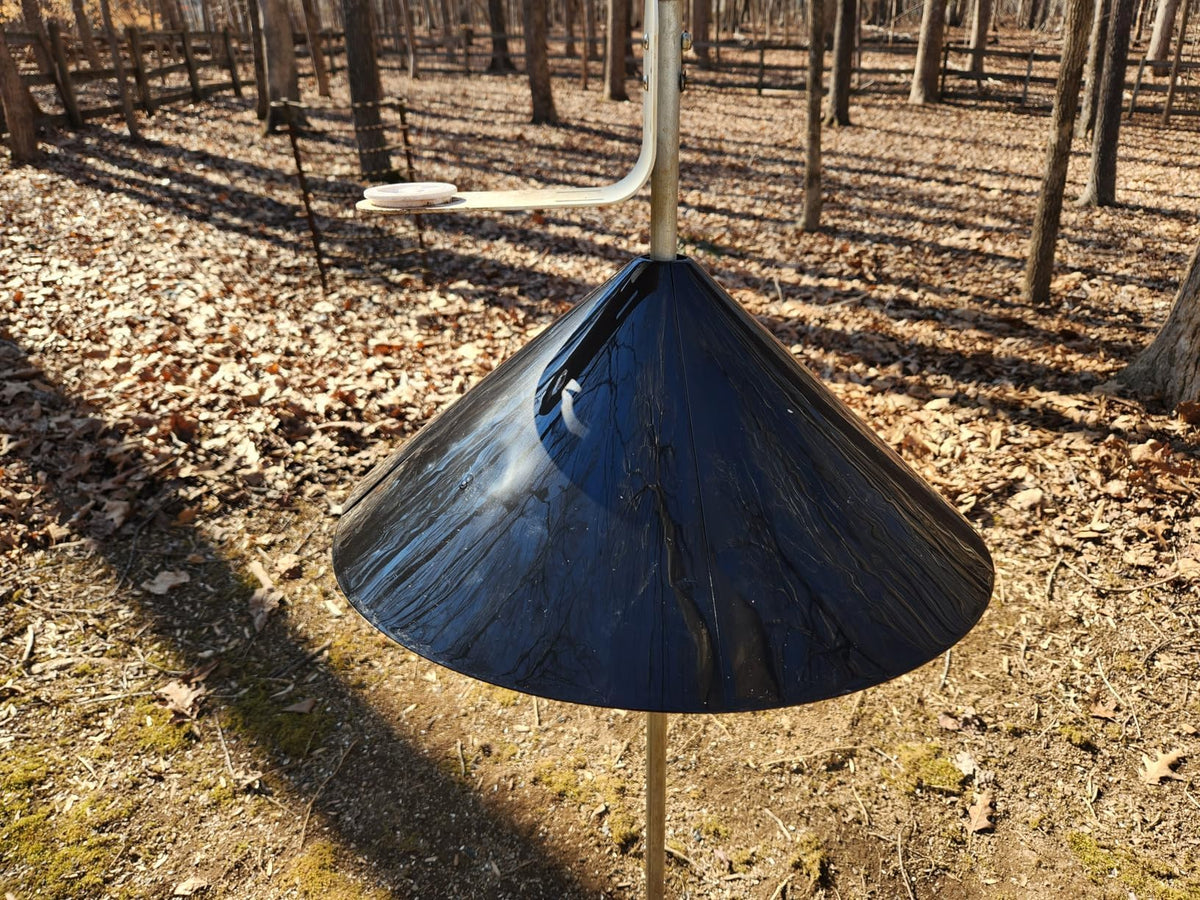 Andergi Squirrel Baffle protects seed from theft while birds feed peacefully