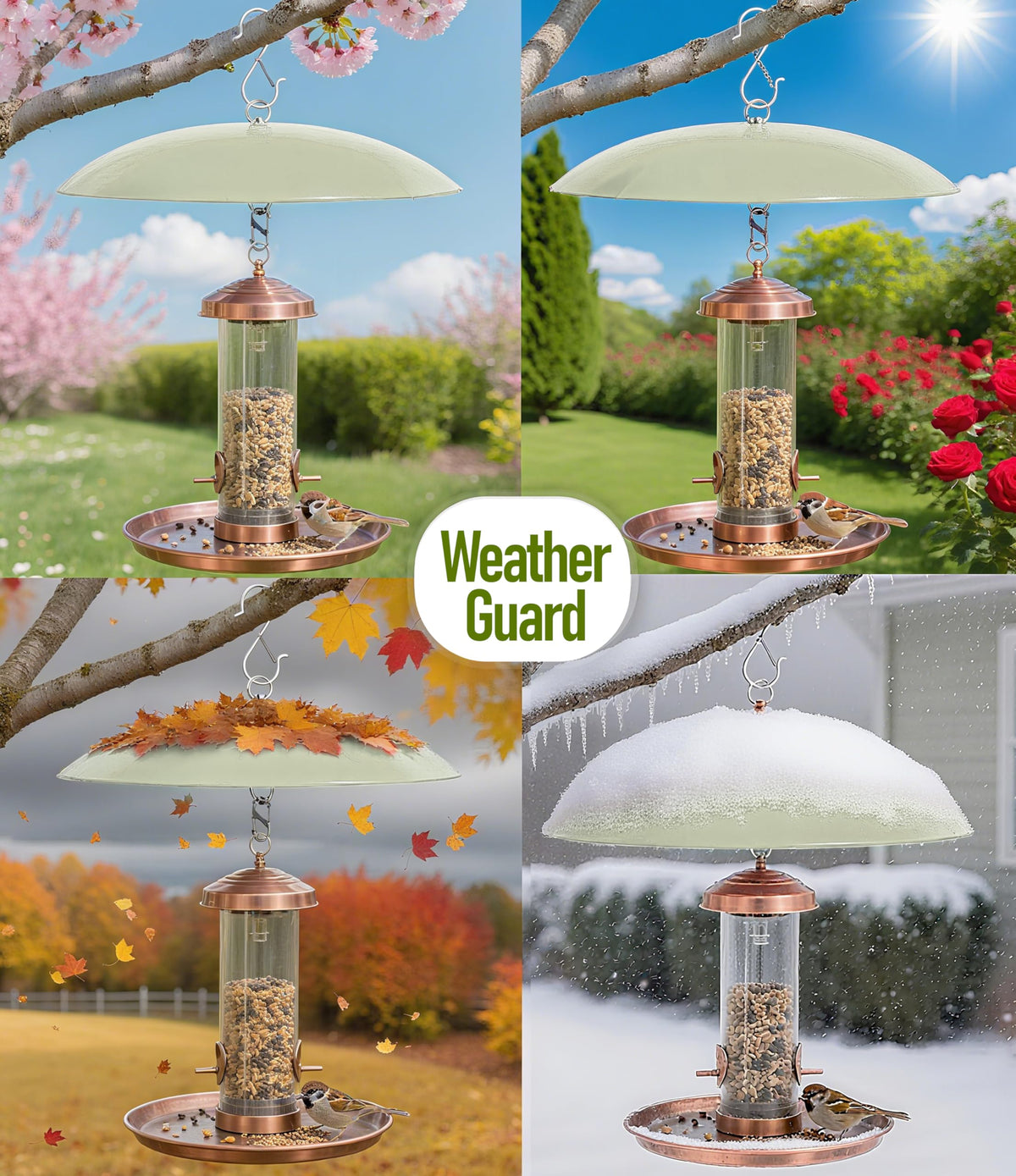 andergi squirrel deterrent dome helps guard seed from intruders