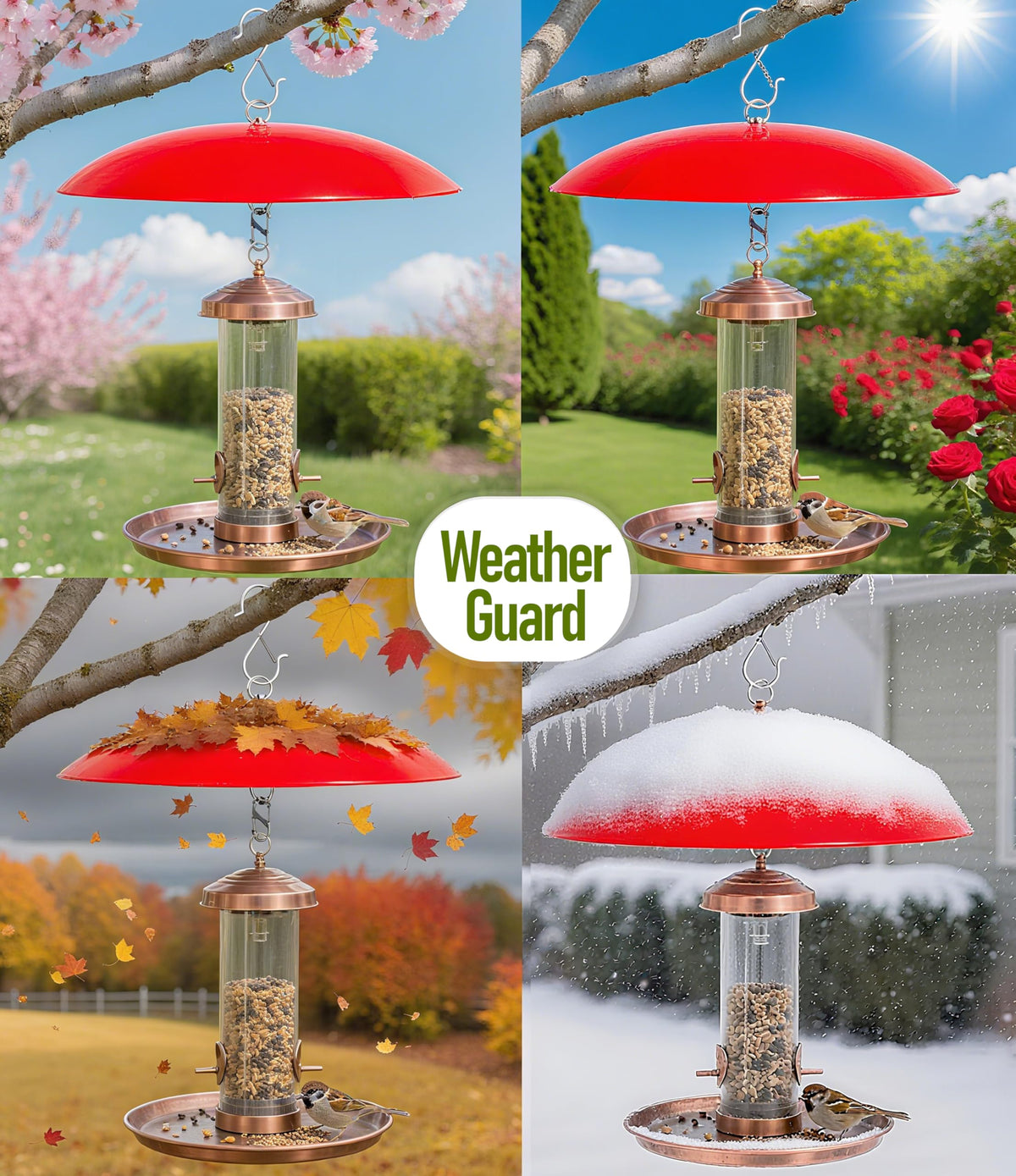 Andergi squirrel-proof rain cover for hummingbird feeders keeps seeds protected.