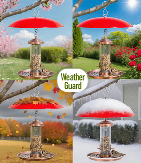 Andergi squirrel-proof rain cover for hummingbird feeders keeps seeds protected.