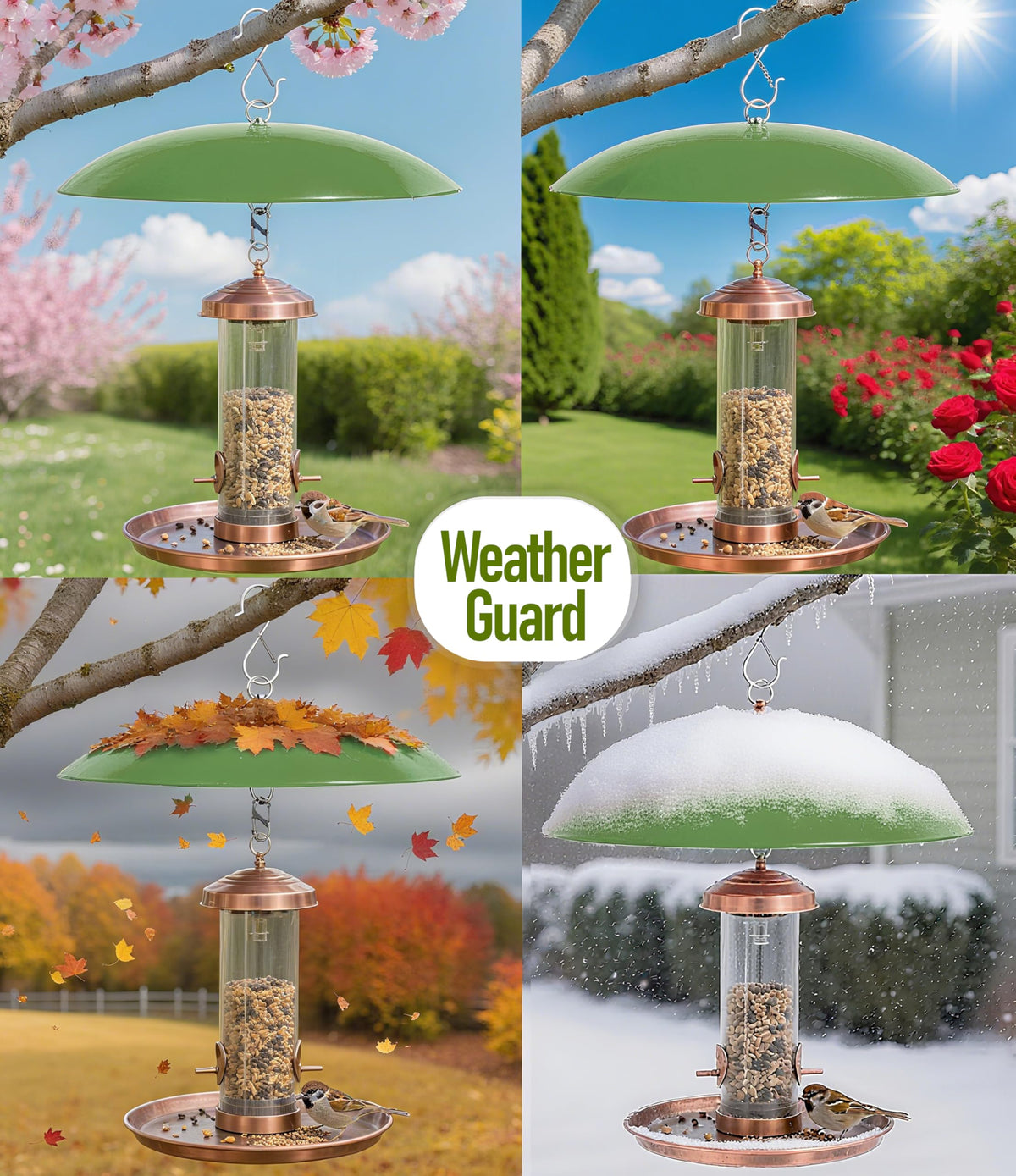 andergi umbrella feeder in outdoor setting provides dry feeding during showers.