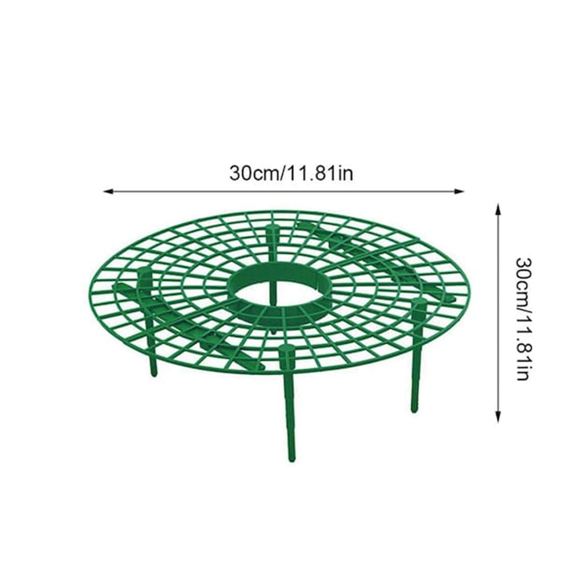 ANDES strawberry support stand airflow design keeps fruit clean and well-ventilated.