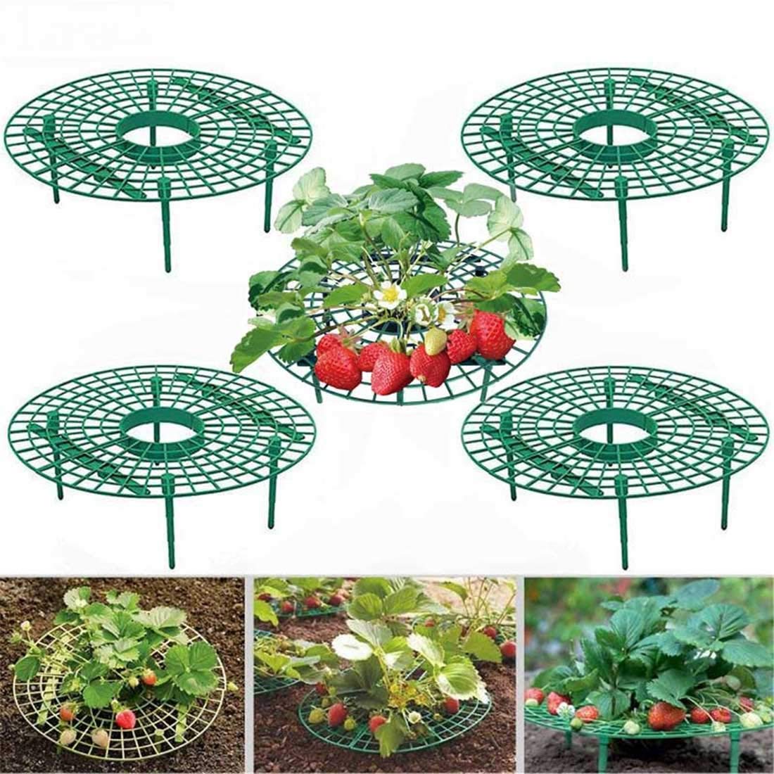 ANDES strawberry support stand assembly enables quick setup for balcony gardens.