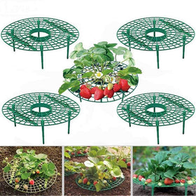 ANDES strawberry support stand assembly enables quick setup for balcony gardens.
